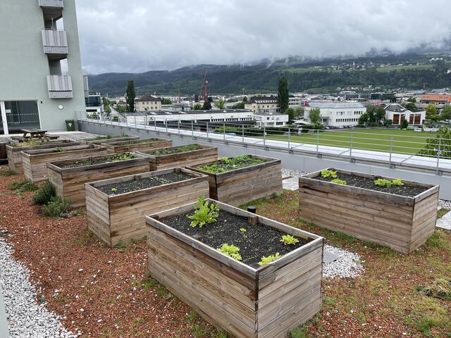 Dachgarten mit Hochbeten am Campagne Areal in Innsbruck. | Foto: Rainer Unger