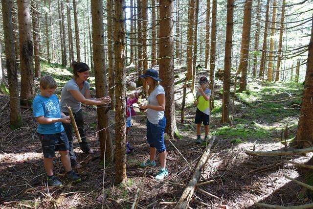 Der Naturpark Tiroler Lech bietet im Rahmen der Naturparktage auch in diesem Sommer wieder ein abwechslungsreiches Erlebnisprogramm für Volksschulkinder an. | Foto: Naturpark-Team