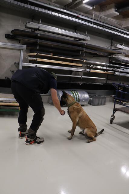 Foto: Tanja Handlfinger