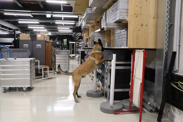 Foto: Tanja Handlfinger