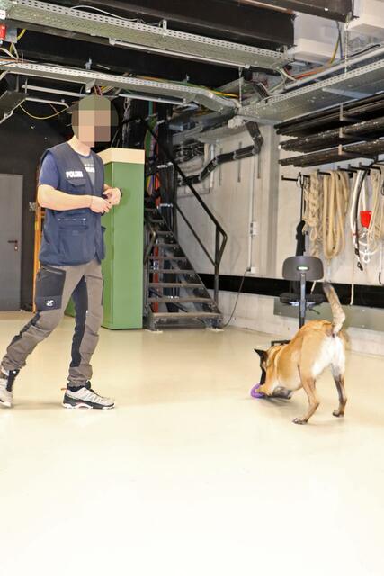 Foto: Tanja Handlfinger