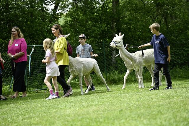 Foto: Schule an der Alm
