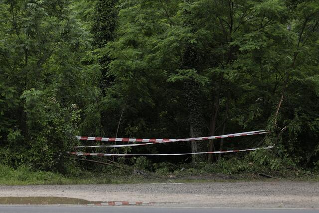 Der Pkw landete im Wald. | Foto: Santrucek