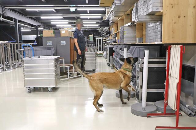 Foto: Tanja Handlfinger