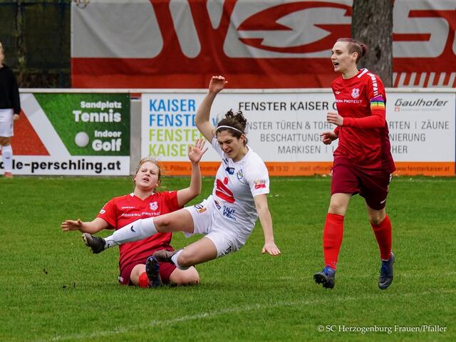 Foto: Pfaller Stefan
