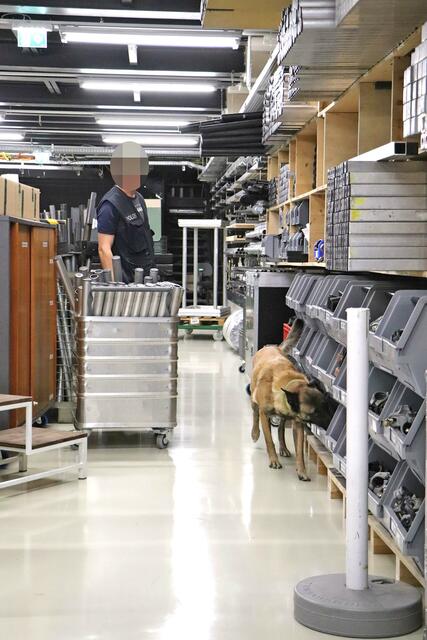 In Österreich gibt es aktuell um die 45 Sprengmittelspürhunde. Davon gibt es 11 in Niederösterreich und 10 sind in Schwechat im Einsatz. | Foto: Tanja Handlfinger