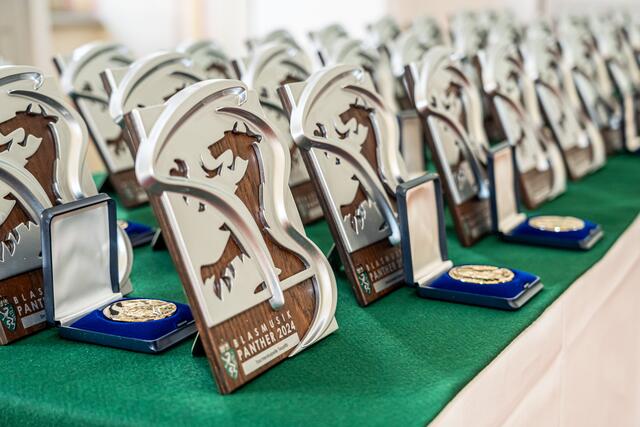 Die begehrten Auszeichnungen | Foto: Land Steiermark/Fischer