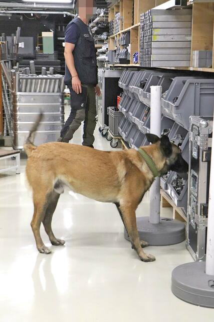 Foto: Tanja Handlfinger