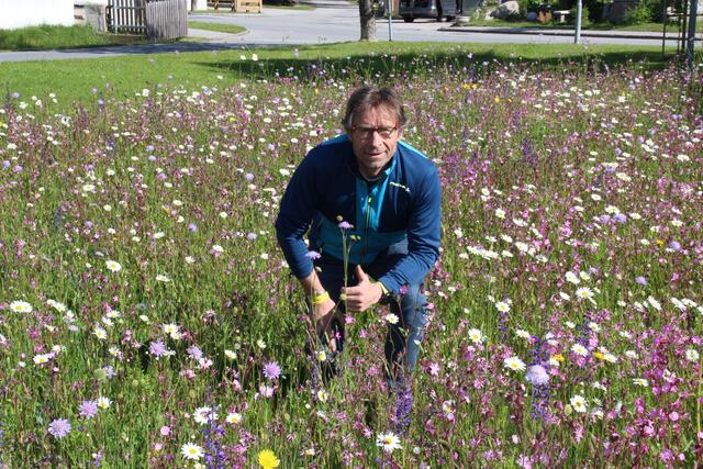 Bürgermeister Josef Giner „badet“ in einer der  prächtigen und vielgestaltigen Unterperfer Blumenwiesen. | Foto: Jordan