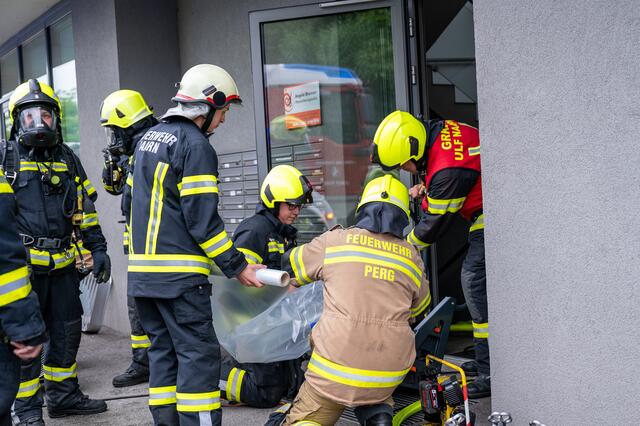 Foto: TEAM FOTOKERSCHI.AT / SIMON BRANDSTÄTTER