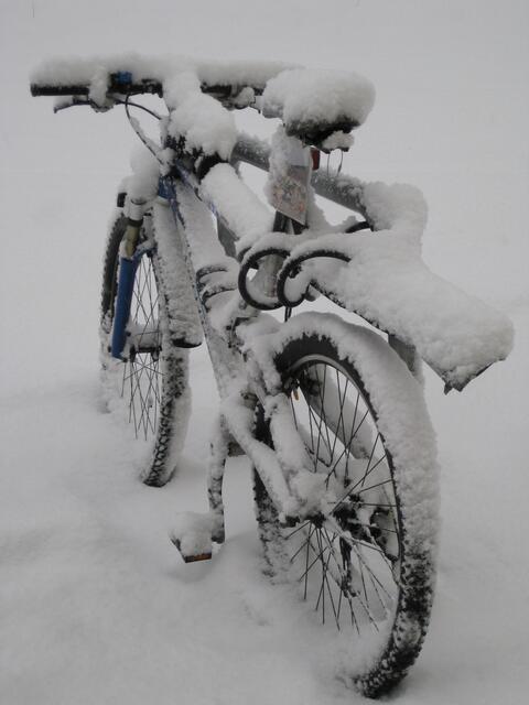 Der Chinese wollte in sommerlicher Bekleidung mit dem Mountainbike über einen Gebirgspass nach Südtirol und blieb auf einer Höhe von 2.200 Metern im Schnee stecken. | Foto: Symbolbild Pixabay