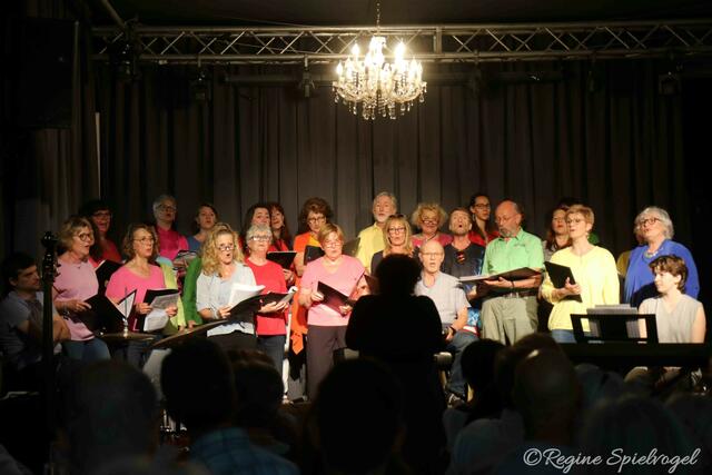 Unter der Leitung von Brigitte Wagner lud der Chor der Kulturinitiative Vereinsmeierei in den Festsaal des Gasthaus Mayer zu "Sing &amp; Swing".