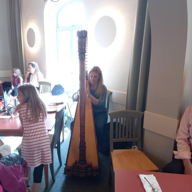 Harfinistin | Foto: Birgit Lichtenberger