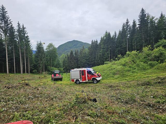 Foto: Bfkdo Amstetten / FF Wirts