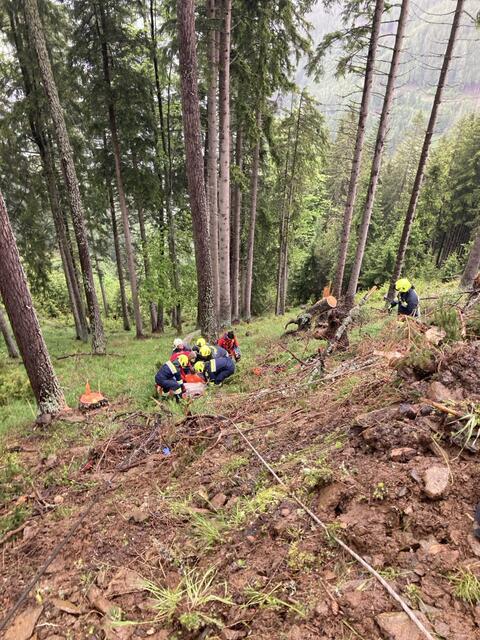 Die Bergungsarbeiten gestalteten sich im steilen Gelände am Haugsattel schwierig. | Foto: FF Turnau