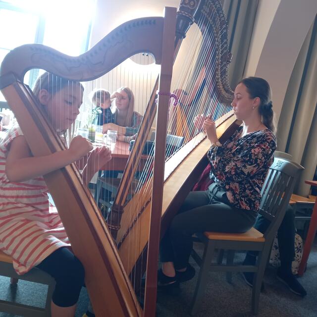 Wunderschöne Harfentöne | Foto: Birgit Lichtenberger