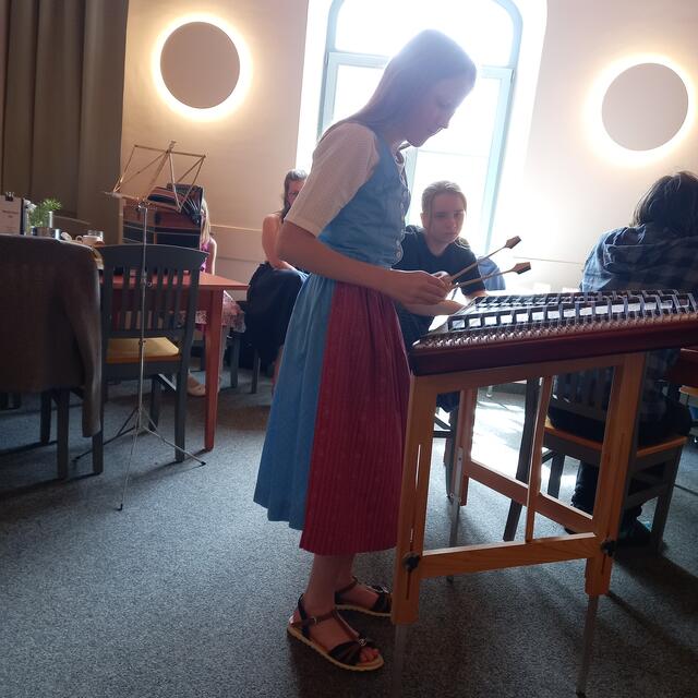 Künstlerin am Hackbrett | Foto: Birgit Lichtenberger