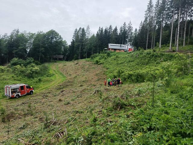 Foto: Bfkdo Amstetten / FF Wirts