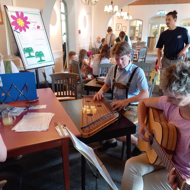 Profi-Zither Spieler im JUFA Deutschlandsberg | Foto: Birgit Lichtenberger