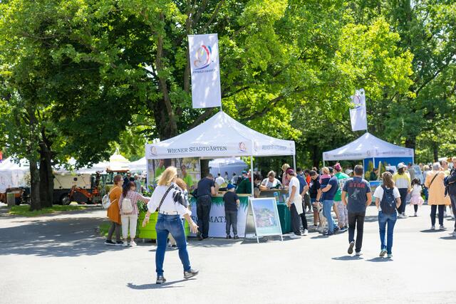 Foto: René Brunhölzl