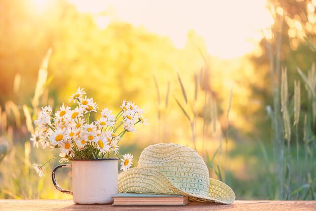 Der Sommer steht vor der Tür und wir haben einige Inspirationen parat. | Foto: adobe.stock.com/Ju_see