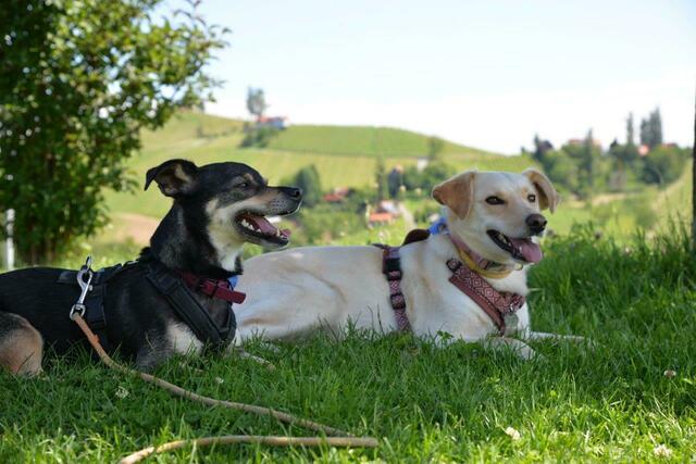 Foto: Victoria Hemmer und Christian Ehetreiber