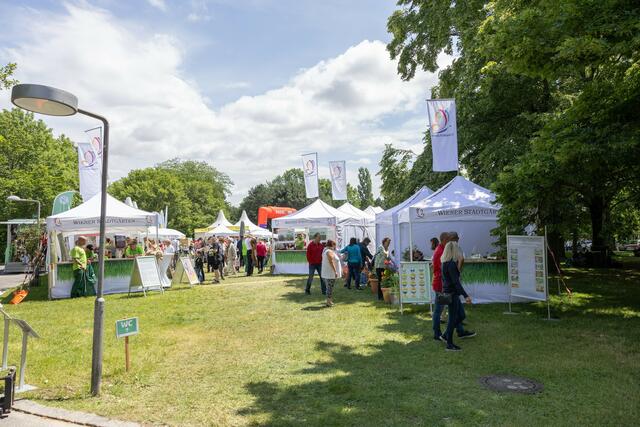 Foto: René Brunhölzl