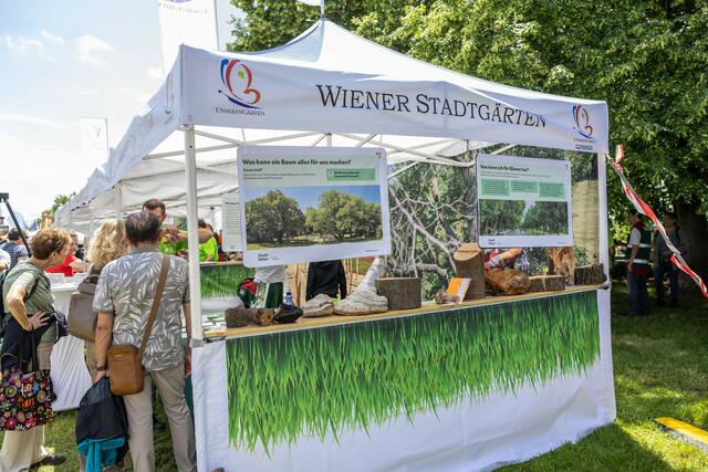 Foto: René Brunhölzl