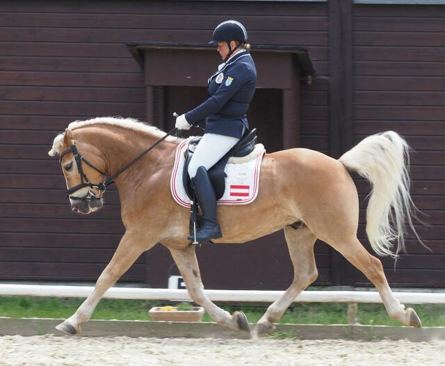 Landesmeisterin Doris Huber auf Nova Rock | Foto: Krumböck
