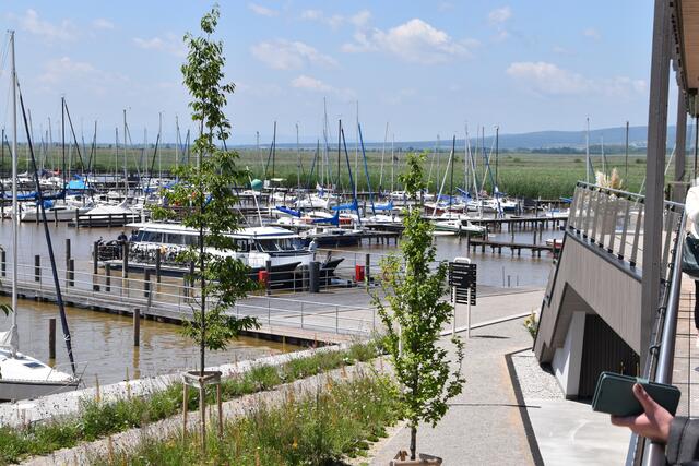 Foto: Stefan Schneider