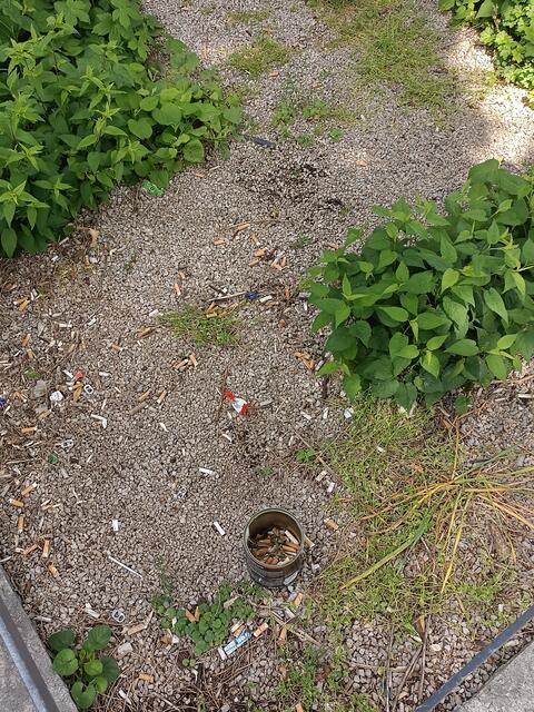 Erweiterte Herstellerverordnung: Produzenten sollen die Müllgebühr bezahlen