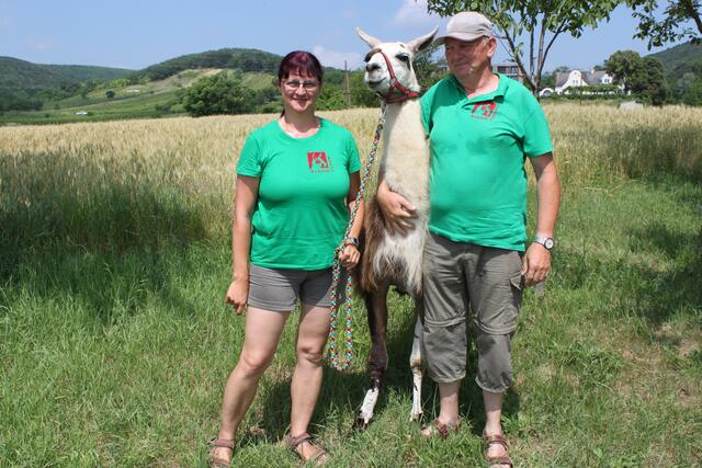 Theresia und Ewald Striok schafften es mit ihrem Lama-Hof auch 2024 wieder auf den ersten Platz.  | Foto: RegionalMedien