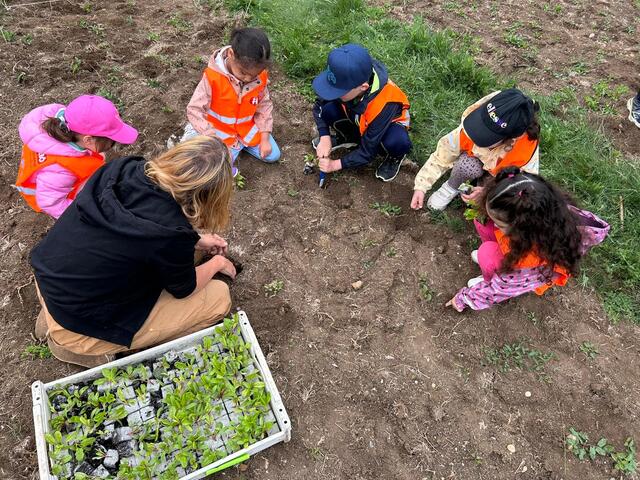 Natürlich wurde auch gezeigt, wie man Kräuter und mehr einpflanzen kann. | Foto: Michaela Waiglein-Wirth