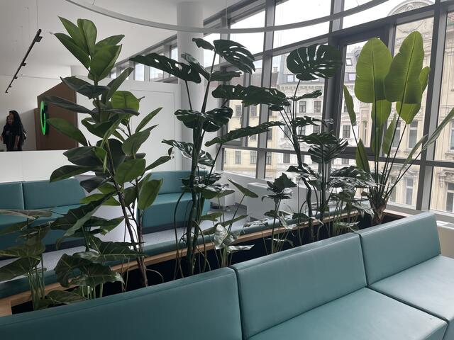 Lebendige Pflanzen sorgen für ein angenehmes Ambiente. | Foto: Pufler