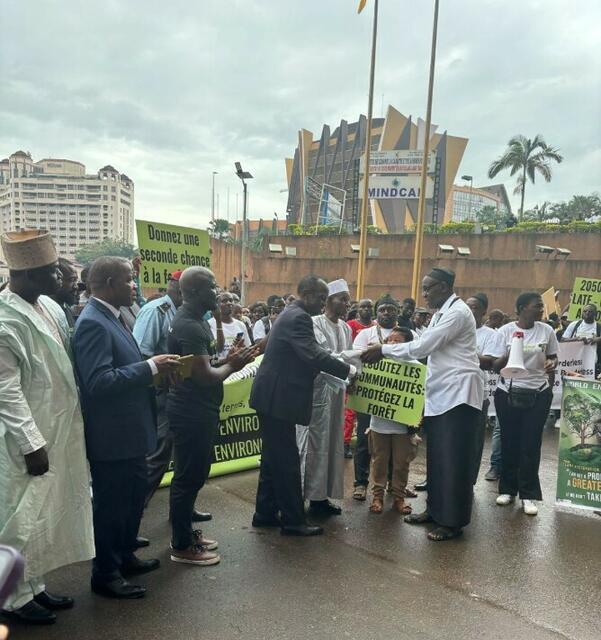 Kamerun: Aufforderung an den Umweltminister Wald aufzufordern und zu schützen 