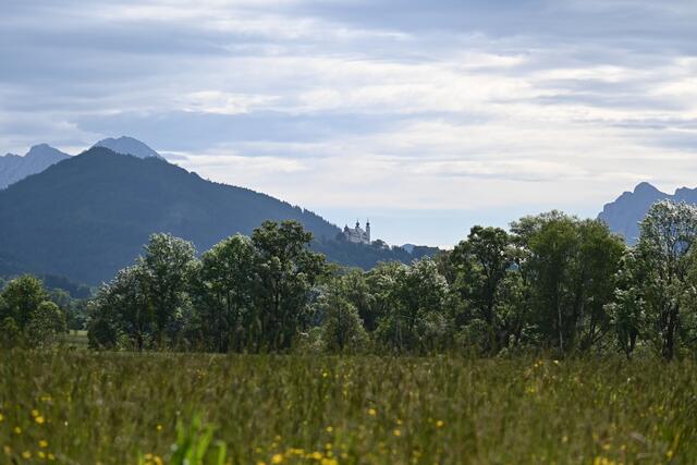 Hinten sieht man die Wallfahrtskirche Frauenberg