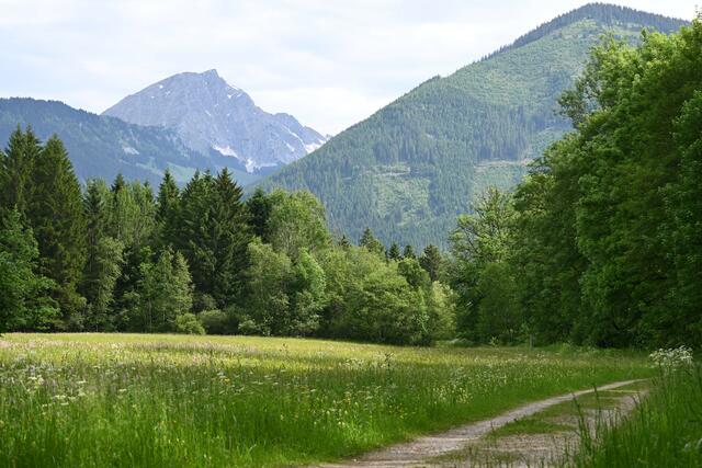Wieder am Hauptweg