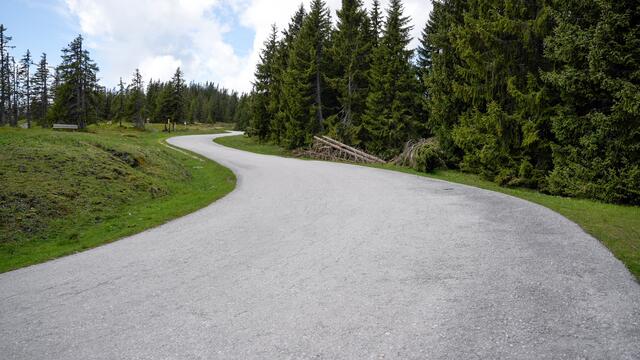 Bis fast zum Gipfel führt auch eine gut ausgebaute Straße.  | Foto: Stefan Schubert