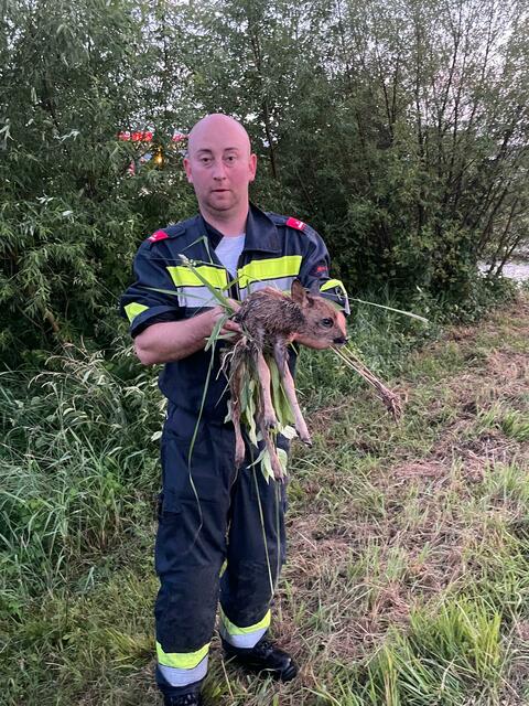 Der Förster und Rehliebhaber Kamerad LM Lambert Nekula nahm es sorgfältig auf und brachte es in Sicherheit. | Foto: Matthias Enne