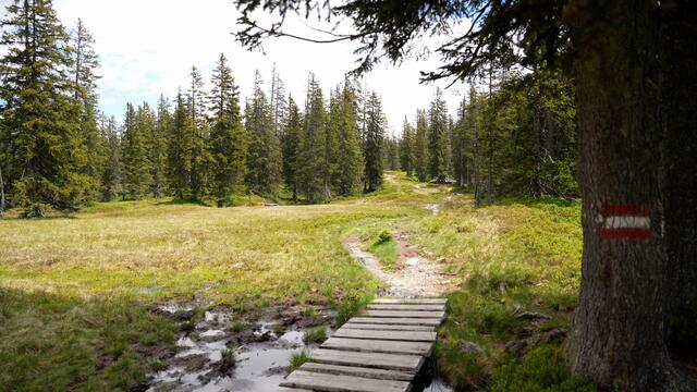 Die Wanderrouten sind sehr idyllisch. | Foto: Stefan Schubert