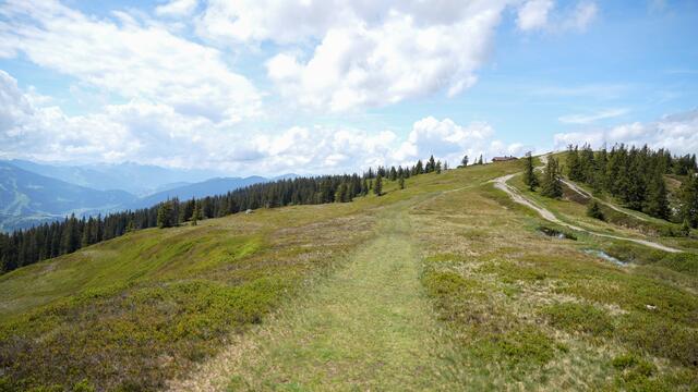 Die letzten Meter zum Gipfel sind auf recht flachem Terrain zurückzulegen.  | Foto: Stefan Schubert