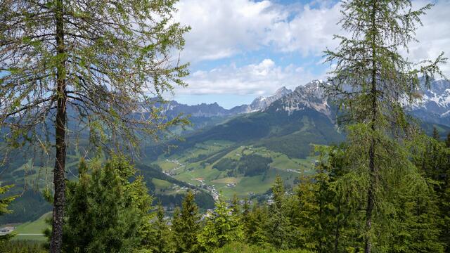 Blick von der Radstrecke in Richtung Tal.  | Foto: Stefan Schubert