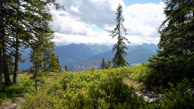 Tolle Aussicht.  | Foto: Stefan Schubert