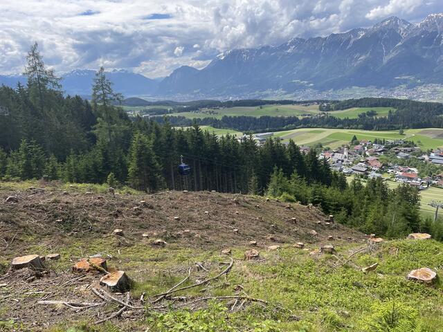 Die Schlägerung diente nicht der Vorbereitung einer Talabfahrt, sondern der notwendigen Sicherung der Gondelbahn und dem Erhalt des Waldes. | Foto: Kendlbacher