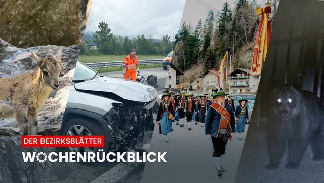 Beim Bezirksblätter Wochenrückblick gibt’s für euch die Top-Themen der vergangenen Woche aus Tirol. | Foto: BezirksBlätter Tirol 