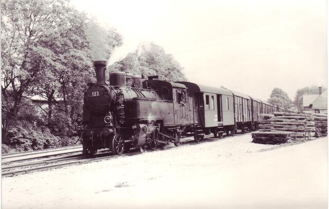 Verschub im Bahnhof Mönchhof-Halbturn am 19.05.1962 | Foto: Fotograf Karl Wildberger