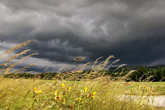 Die neue Woche bringt erneut Regen - bis zum Abend hin klingen die Schauer ab.  | Foto: LS Burgenland