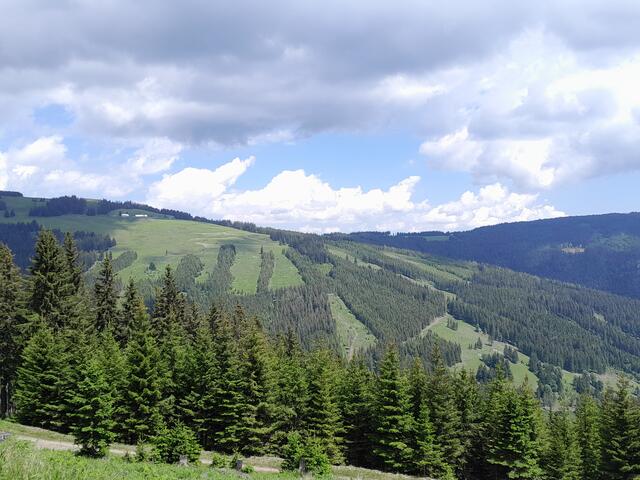 Am Forstweg nach der Himmelstiege hat man Aussicht auf die umliegenden Almen und sieht sogar bis in die bucklige Welt