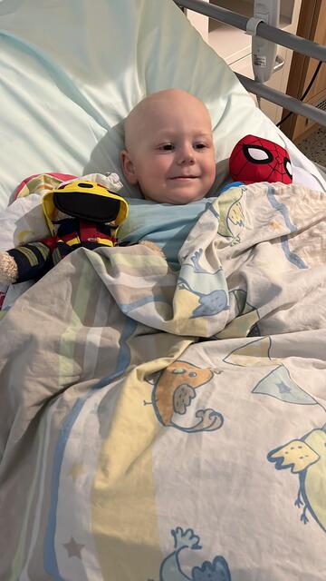 Wenn Lea zum Kuscheln im Spital fehlt, versuchen die Stofftiere in Lios Bett sie "würdig" zu vetreten.  | Foto: Privat