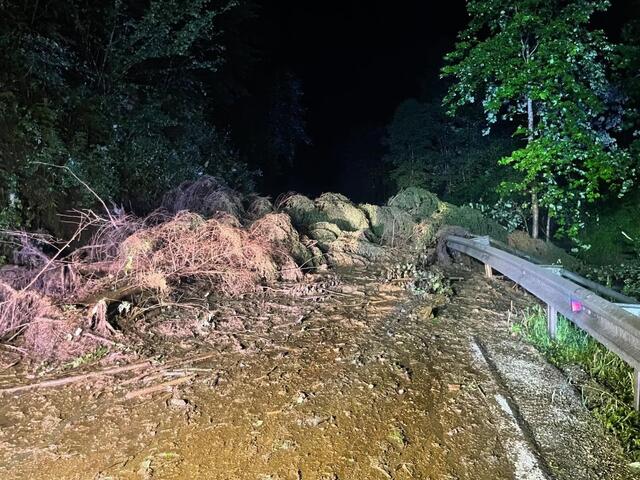 Diese Mure hat in der Nacht auf Sonntag die Straße über den Pogusch verlegt. | Foto: FF St. Lorenzen